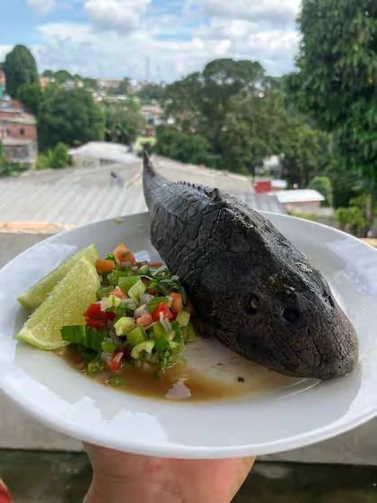 Bodó preparado
